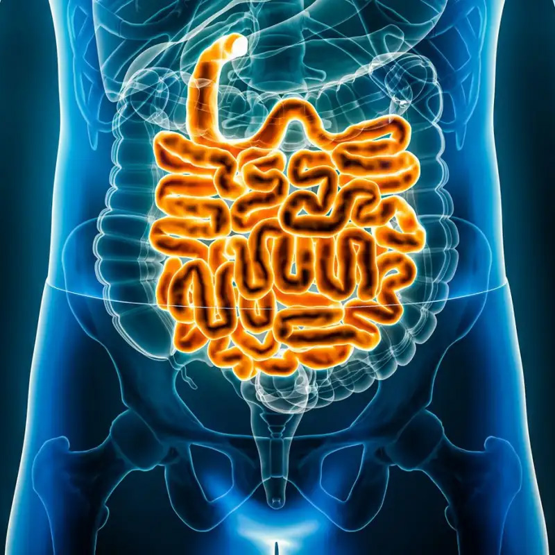 تشخیص بیماری‌های روده کوچک از طریق دست ها، انگشتان و کف دست